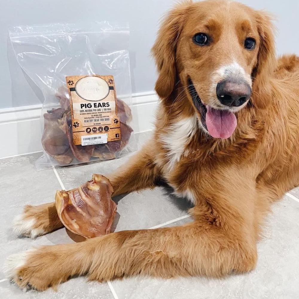 Natural Pork Ear Dog Treat, x12 Pack: image 8