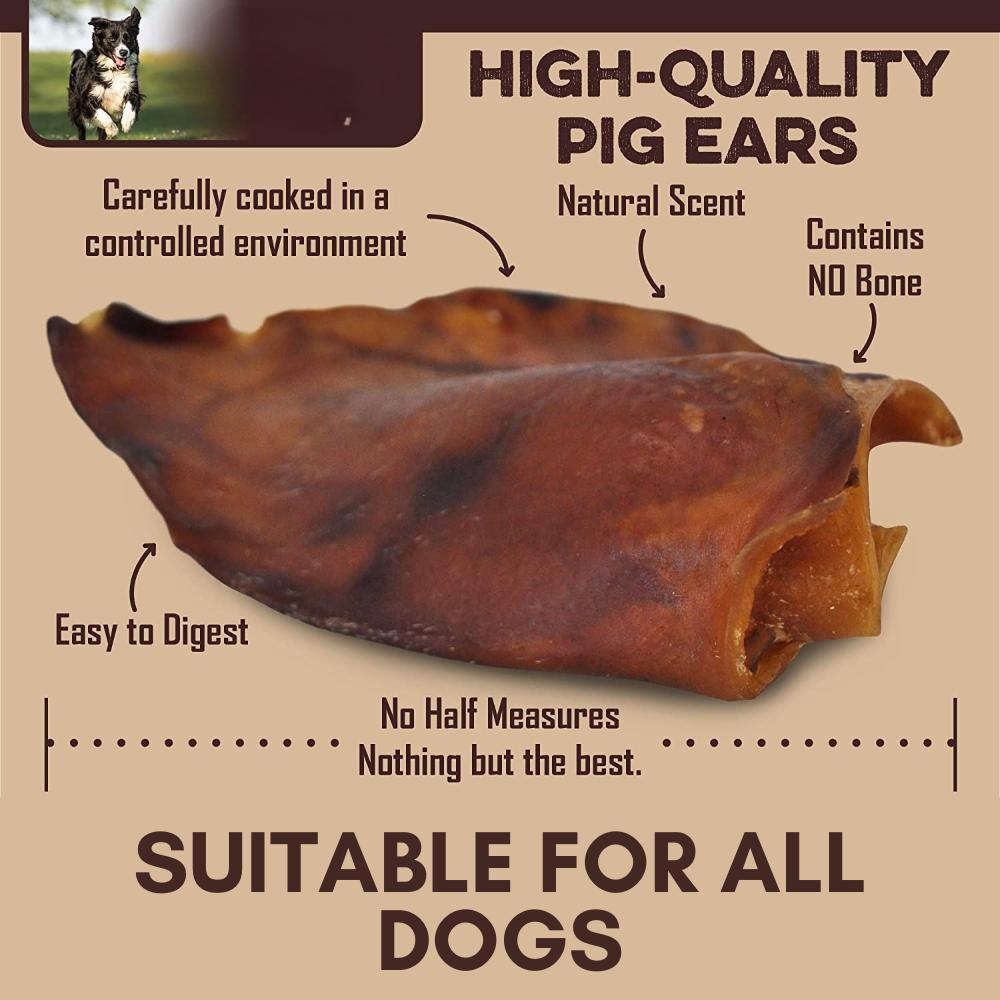 buy pig ear dog treat